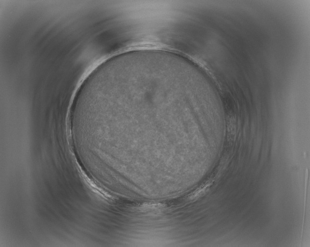 X0000055971466200509091431