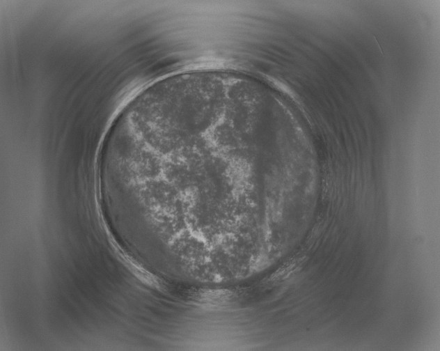 X0000055971467200509091431