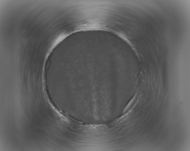 X0000055971469200509091431