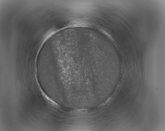 X0000055971471200509091431