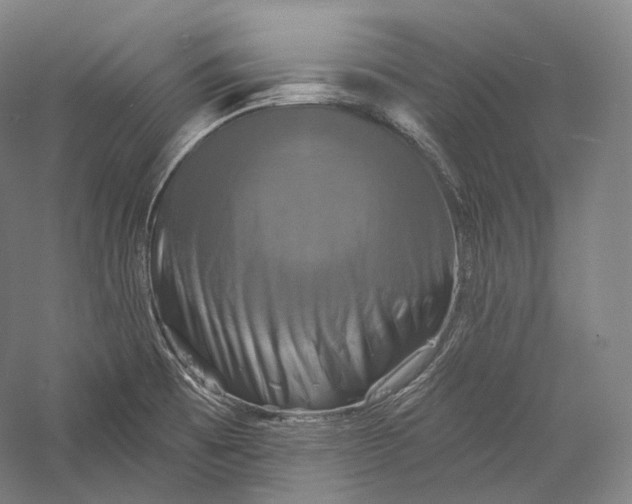 X0000055971473200509091431