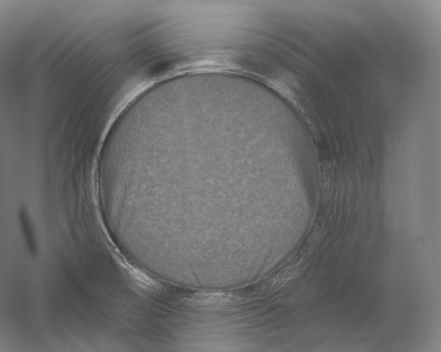 X0000055971474200509091431