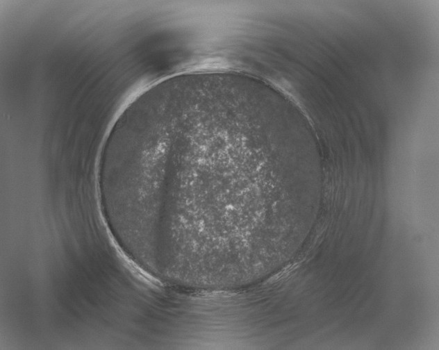 X0000055971475200509091431