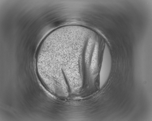 X0000055971476200509091431