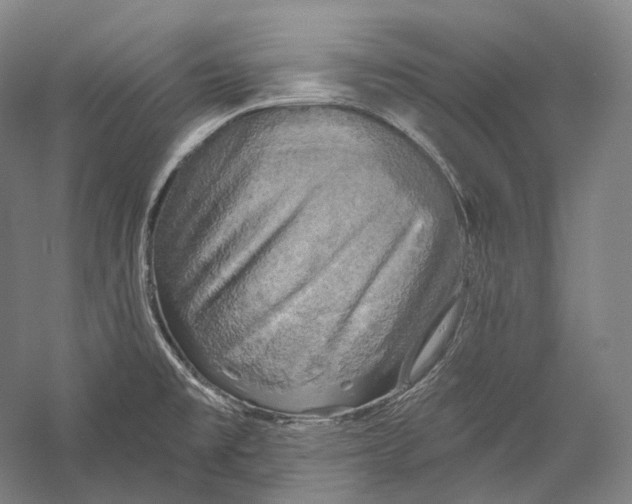 X0000055971477200509091431