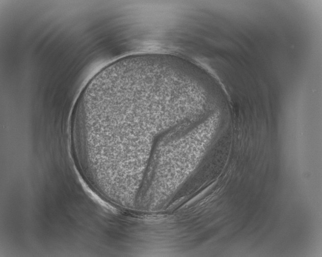 X0000055971479200509091431