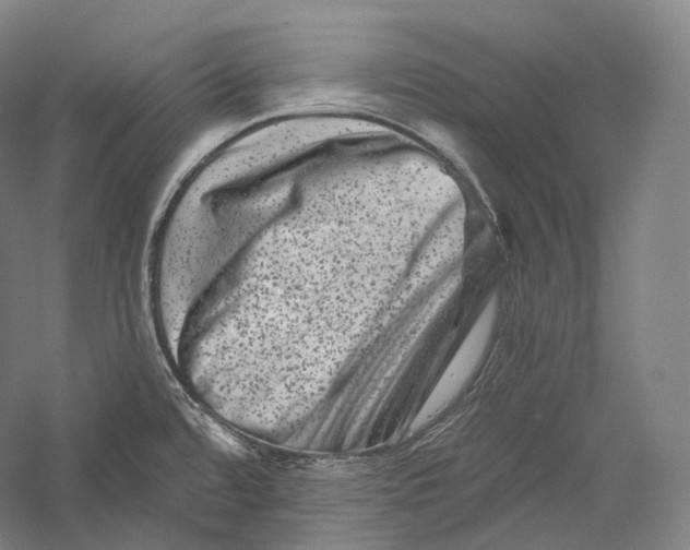 X0000055971480200509091431