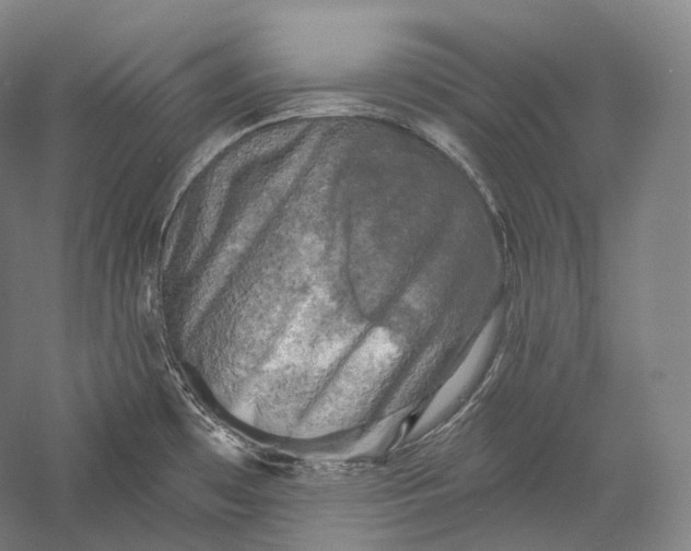 X0000055971481200509091431