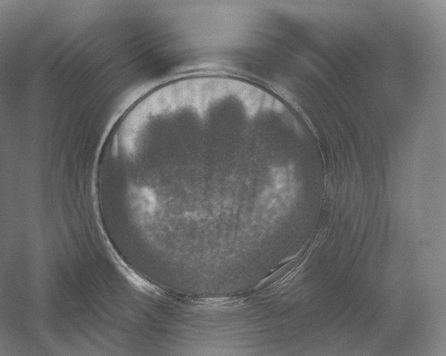 X0000055971482200509091431