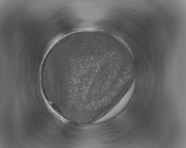 X0000055971483200509091431