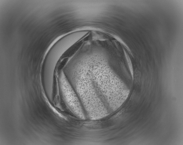 X0000055971484200509091431