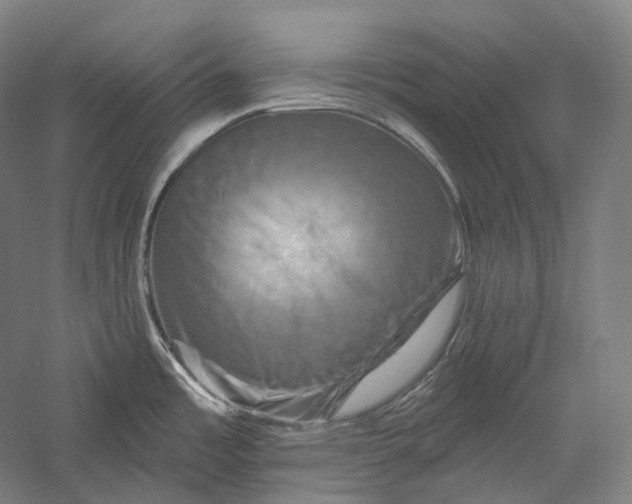 X0000055971485200509091431