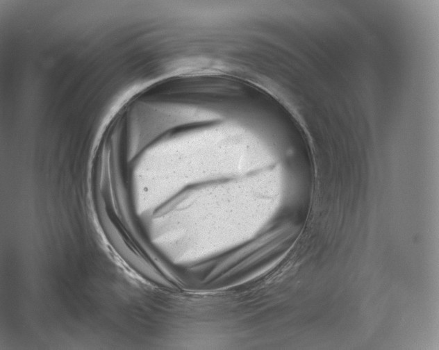 X0000055971488200509091431