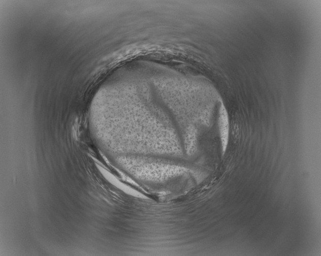 X0000055971490200509091430