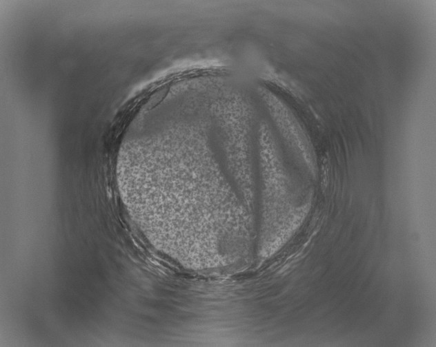 X0000055971494200509091430