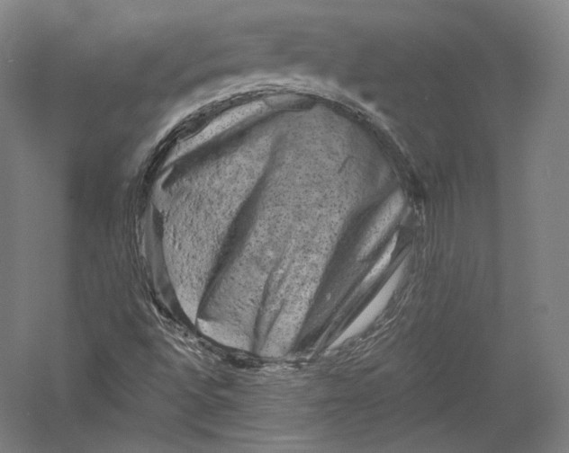 X0000055971496200509091430