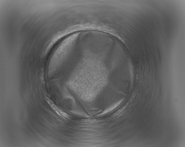 X0000055971499200509091430