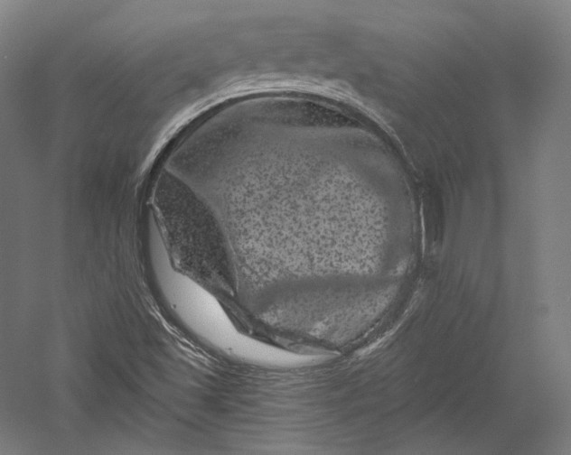 X0000055971501200509091430