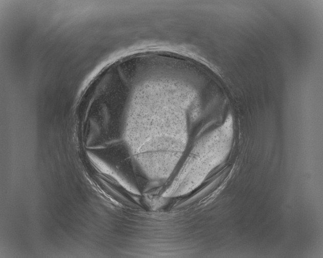 X0000055971502200509091430