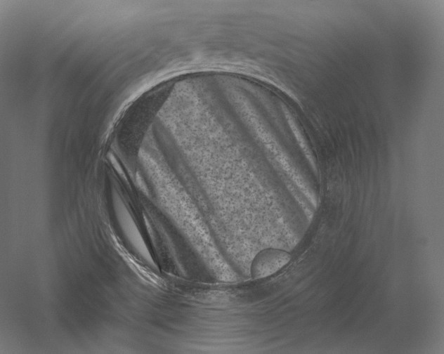 X0000055971507200509091430