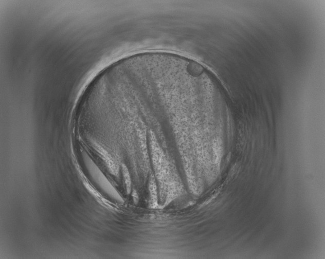 X0000055971511200509091430