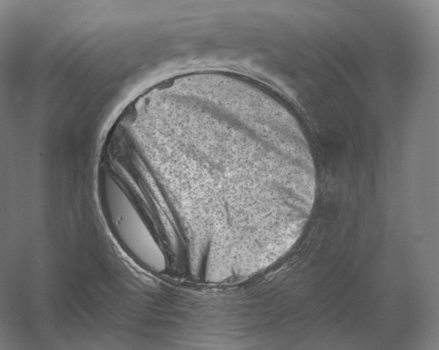 X0000055971512200509091430