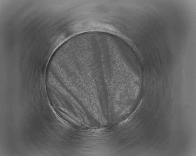 X0000055971513200509091430