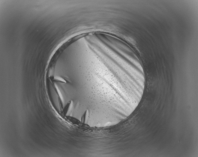 X0000055971516200509091430
