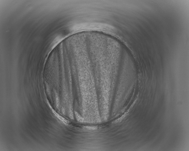 X0000055971521200509091430