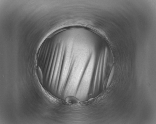 X0000055971524200509091430