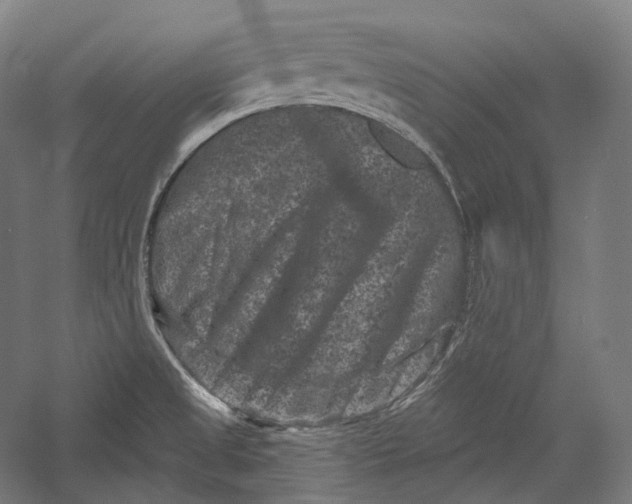 X0000055971525200509091431