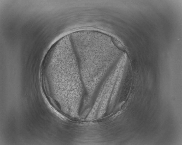 X0000055971526200509091431