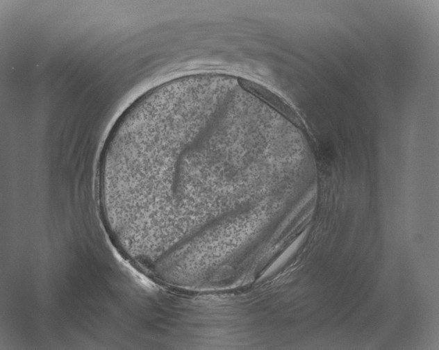 X0000055971527200509091431