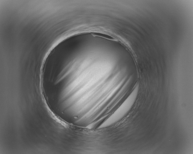 X0000055971528200509091431