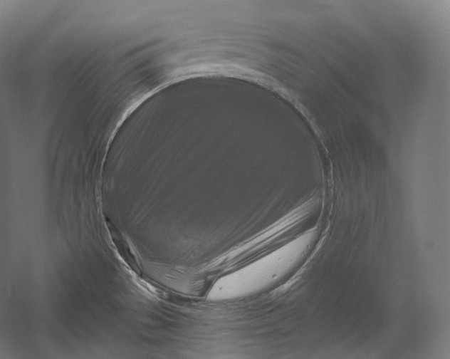 X0000055971529200509091431