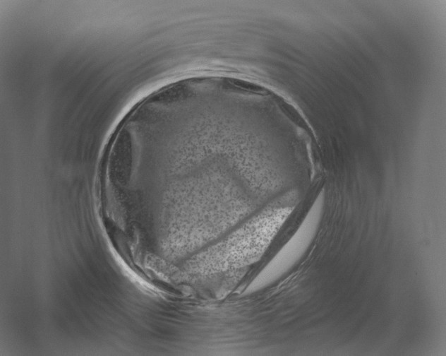 X0000055971531200509091431