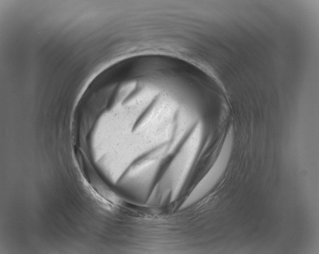 X0000055971532200509091431