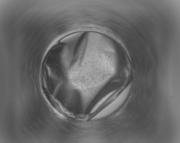X0000055971533200509091431