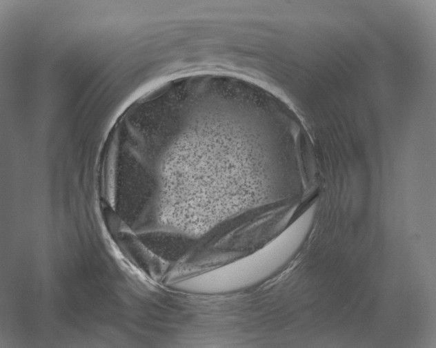 X0000055971534200509091431