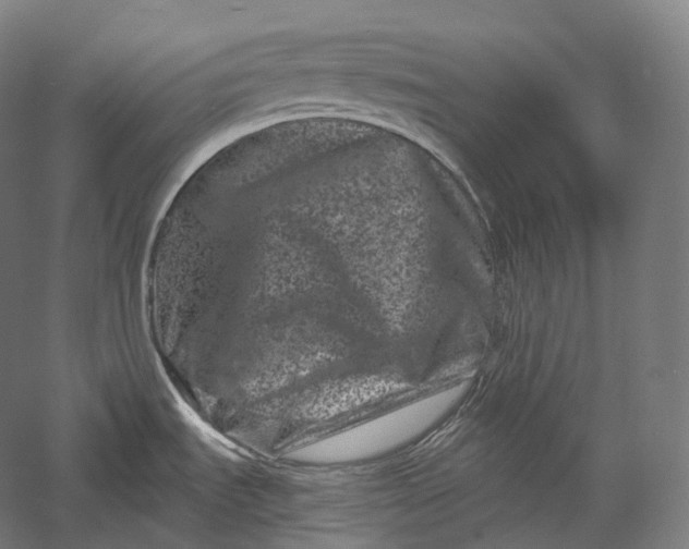 X0000055971535200509091431