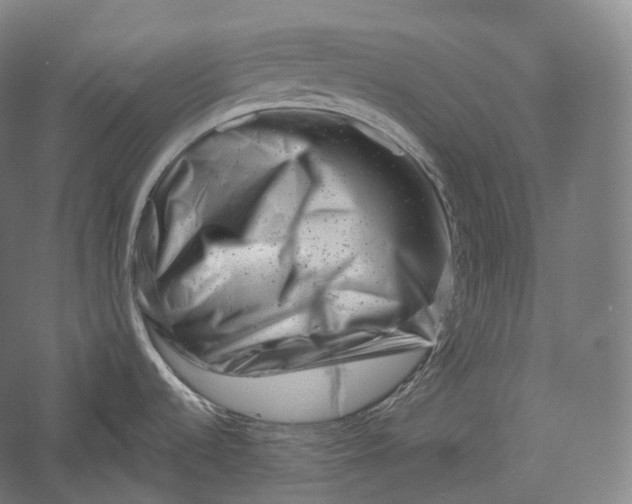 X0000055971536200509091431