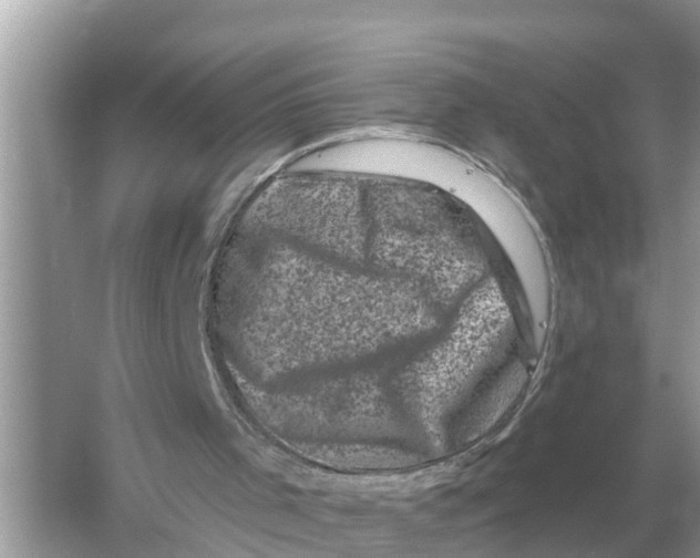 X0000055970001200509162211