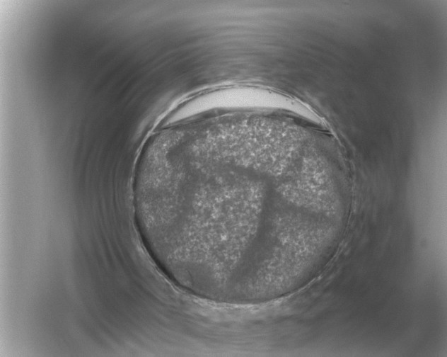 X0000055970002200509162210