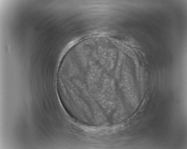 X0000055970003200509162210