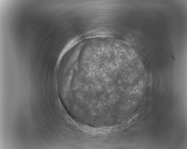 X0000055970004200509162210