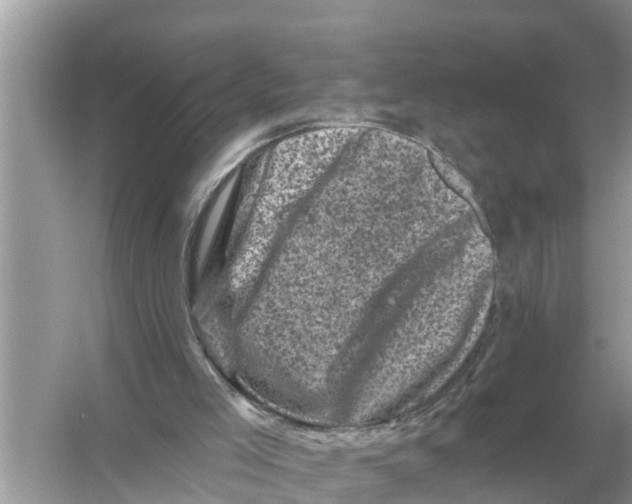 X0000055970005200509162210