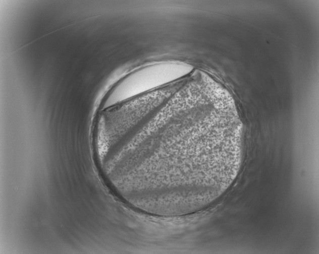 X0000055970006200509162210