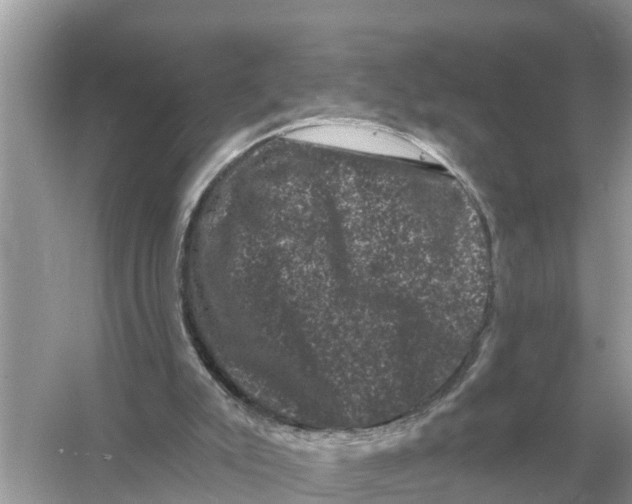 X0000055970007200509162210