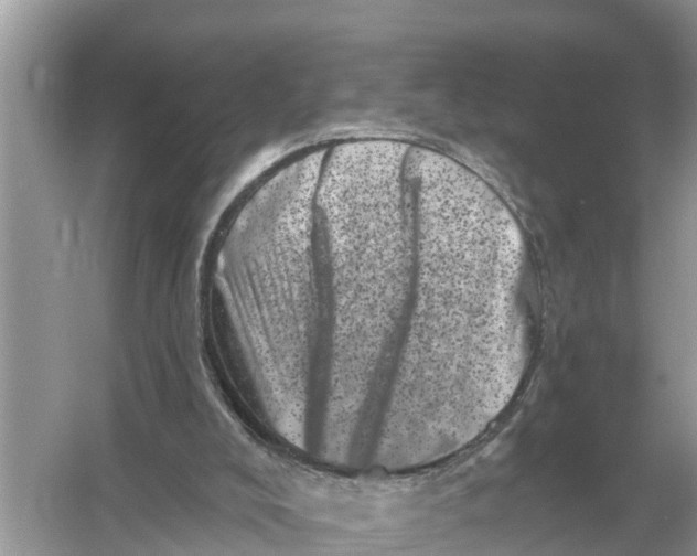 X0000055970008200509162210