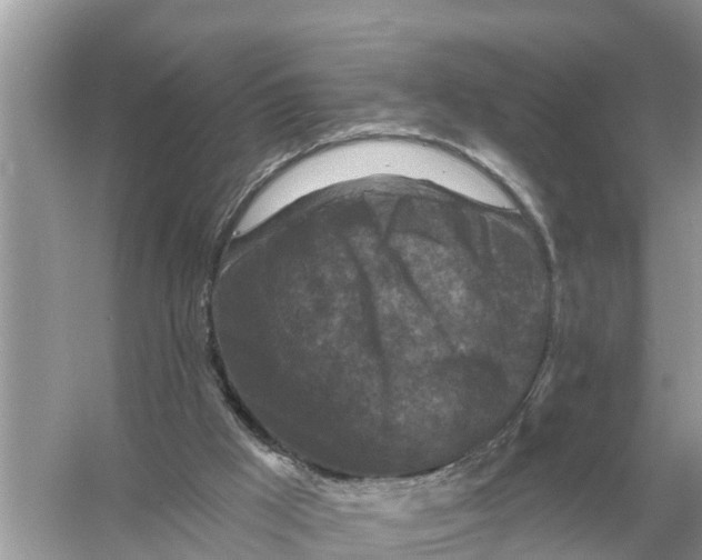 X0000055970009200509162210